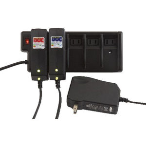 Battery Charging Station