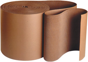 Packaging and Shipping Products