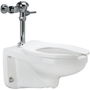 1.28 GPF WaterSense Wall Hung Toilet with Bedpan Lugs and Manual ...