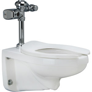 1.28 GPF WaterSense Wall Hung Toilet with Bedpan Lugs and ZER-CPM ...